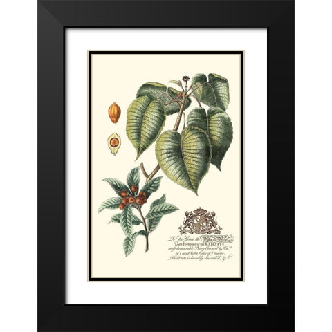 Imperial Foliage III Black Modern Wood Framed Art Print with Double Matting by Vision Studio