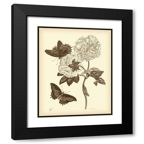 Nature Study in Sepia IV Black Modern Wood Framed Art Print with Double Matting by Merian, Maria S.