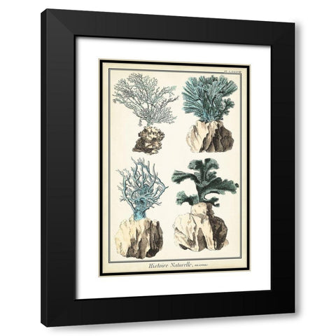 Oversize Coral Species III Black Modern Wood Framed Art Print with Double Matting by Vision Studio