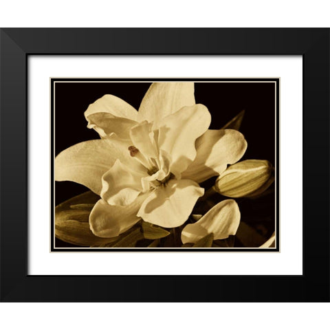 Yvoire Flower I Black Modern Wood Framed Art Print with Double Matting by Perry, Rachel