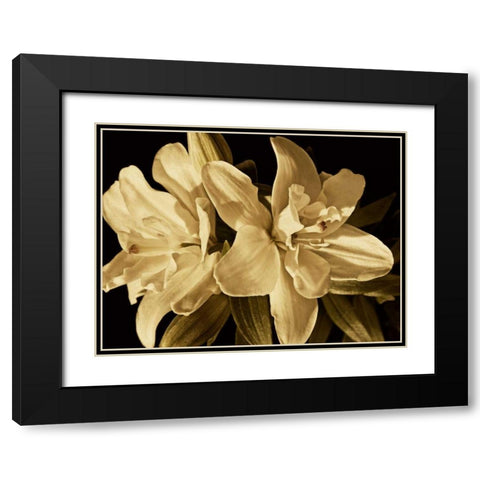 Yvoire Flower II Black Modern Wood Framed Art Print with Double Matting by Perry, Rachel
