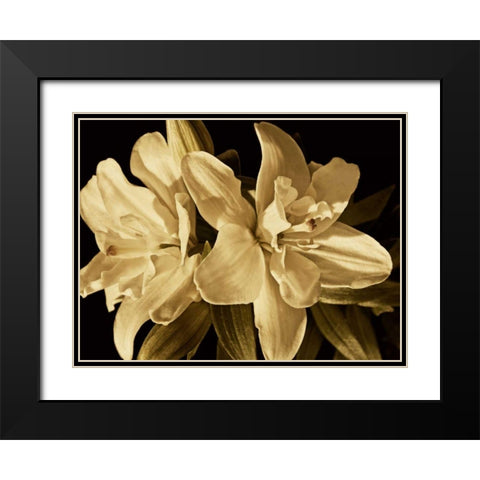 Yvoire Flower II Black Modern Wood Framed Art Print with Double Matting by Perry, Rachel