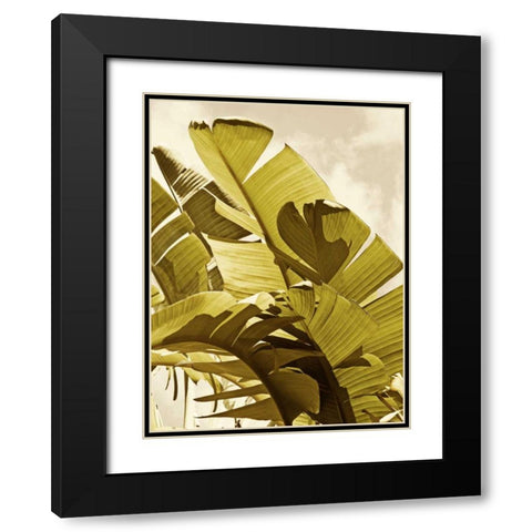 Palm Fronds I Black Modern Wood Framed Art Print with Double Matting by Perry, Rachel