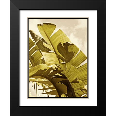 Palm Fronds I Black Modern Wood Framed Art Print with Double Matting by Perry, Rachel