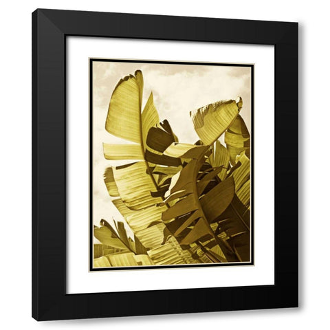 Palm Fronds II Black Modern Wood Framed Art Print with Double Matting by Perry, Rachel