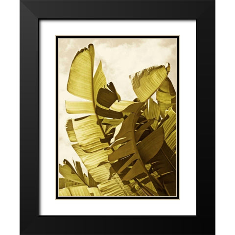 Palm Fronds II Black Modern Wood Framed Art Print with Double Matting by Perry, Rachel