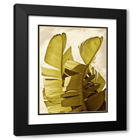 Palm Fronds III Black Modern Wood Framed Art Print with Double Matting by Perry, Rachel