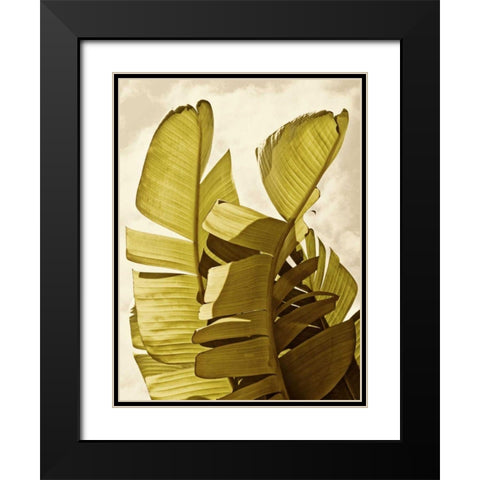 Palm Fronds III Black Modern Wood Framed Art Print with Double Matting by Perry, Rachel