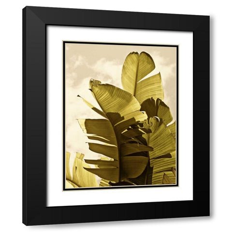 Palm Fronds IV Black Modern Wood Framed Art Print with Double Matting by Perry, Rachel