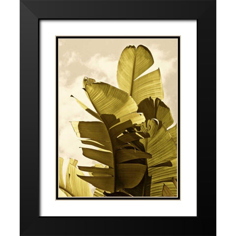 Palm Fronds IV Black Modern Wood Framed Art Print with Double Matting by Perry, Rachel