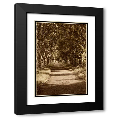 Road to St. Remy Black Modern Wood Framed Art Print with Double Matting by Perry, Rachel