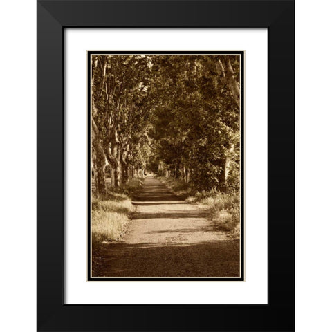 Road to St. Remy Black Modern Wood Framed Art Print with Double Matting by Perry, Rachel