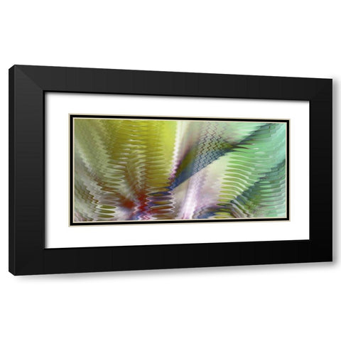 Symphonic II Black Modern Wood Framed Art Print with Double Matting by Burghardt, James