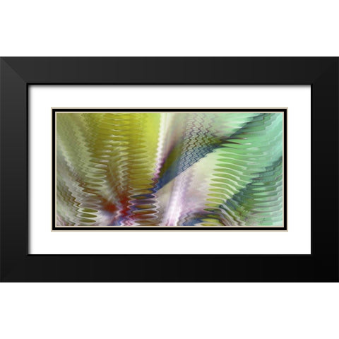 Symphonic II Black Modern Wood Framed Art Print with Double Matting by Burghardt, James