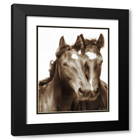 Horse Portrait III Black Modern Wood Framed Art Print with Double Matting by Drost, David