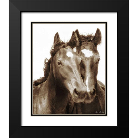 Horse Portrait III Black Modern Wood Framed Art Print with Double Matting by Drost, David
