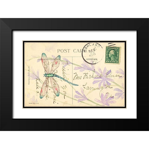 Postcard Dragonfly III Black Modern Wood Framed Art Print with Double Matting by Pallan, Nancy S.