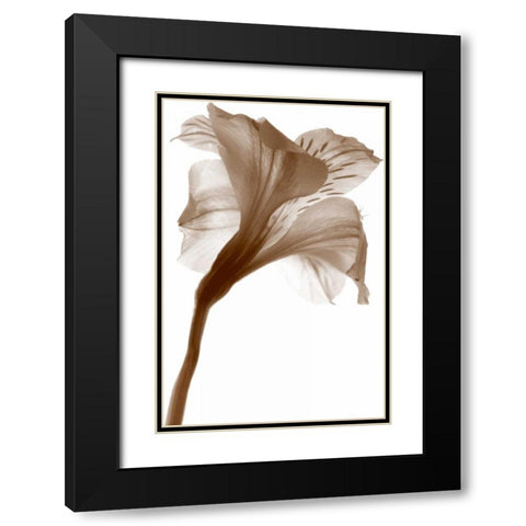 Inflorescence I Black Modern Wood Framed Art Print with Double Matting by Project, A.