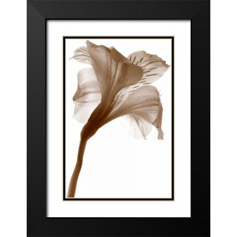 Inflorescence I Black Modern Wood Framed Art Print with Double Matting by Project, A.