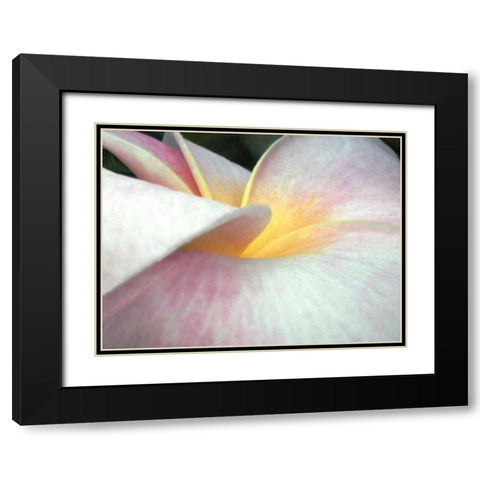 Flowers II Black Modern Wood Framed Art Print with Double Matting by Christensen, Jim