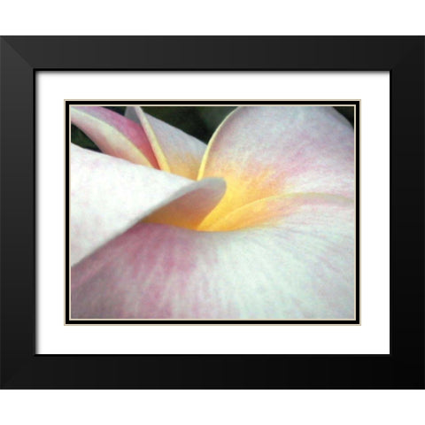 Flowers II Black Modern Wood Framed Art Print with Double Matting by Christensen, Jim