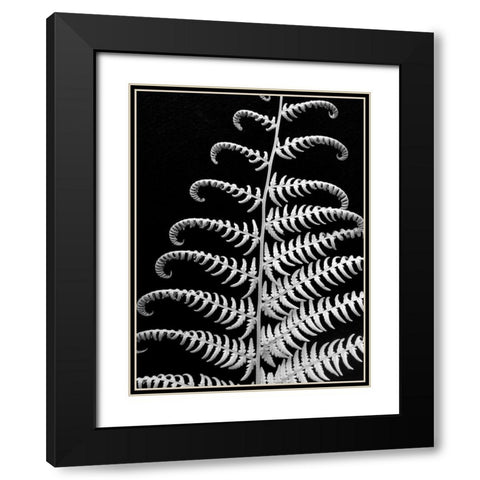 Fern II Black Modern Wood Framed Art Print with Double Matting by Christensen, Jim