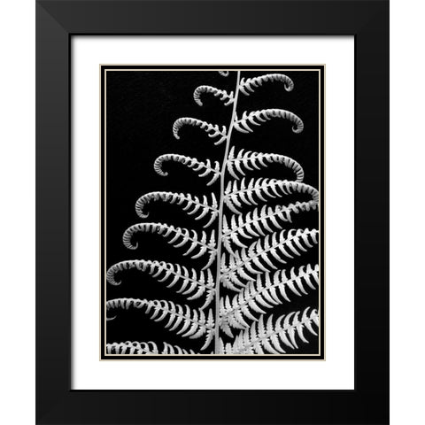 Fern II Black Modern Wood Framed Art Print with Double Matting by Christensen, Jim