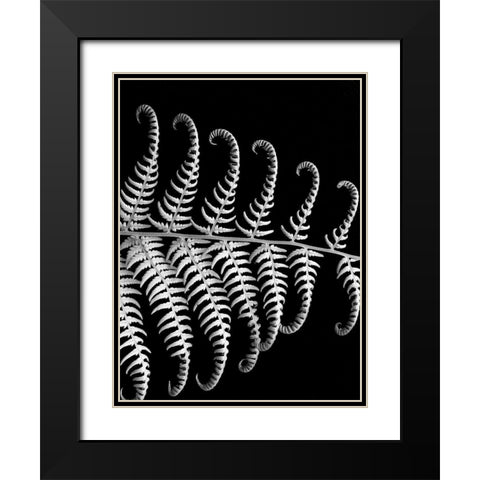 Fern III Black Modern Wood Framed Art Print with Double Matting by Christensen, Jim