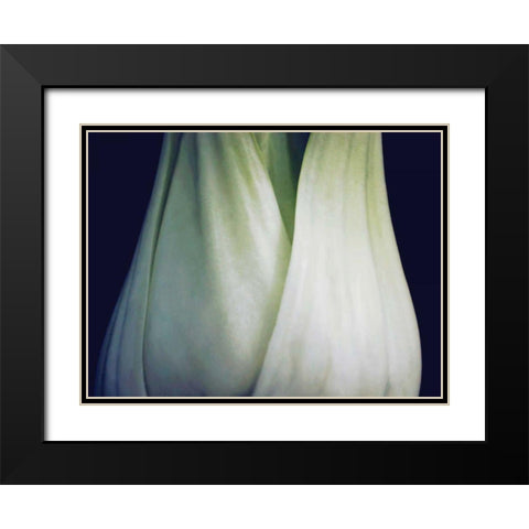 Bok Choy I Black Modern Wood Framed Art Print with Double Matting by Christensen, Jim