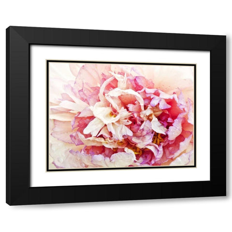 Monets Peony I Black Modern Wood Framed Art Print with Double Matting by Perry, Rachel