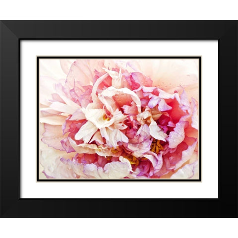 Monets Peony I Black Modern Wood Framed Art Print with Double Matting by Perry, Rachel