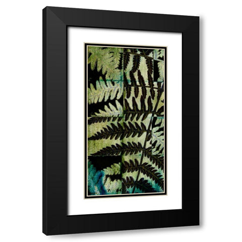 Midnight Ferns II Black Modern Wood Framed Art Print with Double Matting by Vision Studio