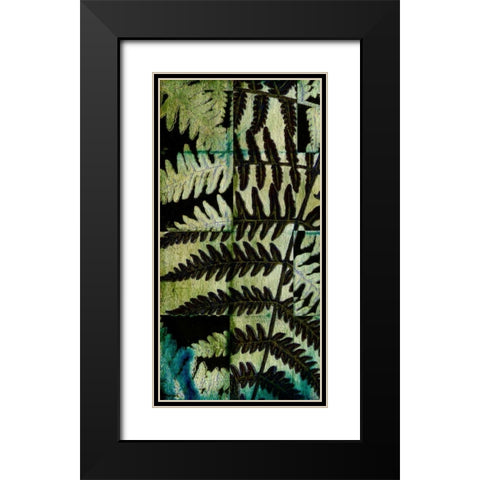 Midnight Ferns II Black Modern Wood Framed Art Print with Double Matting by Vision Studio