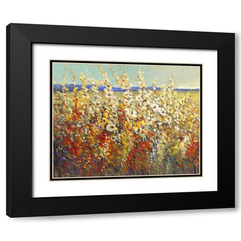 Field of Spring Flowers II Black Modern Wood Framed Art Print with Double Matting by OToole, Tim