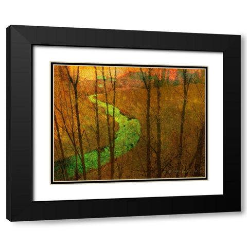 Woodblock Stream I Black Modern Wood Framed Art Print with Double Matting by Vest, Chris
