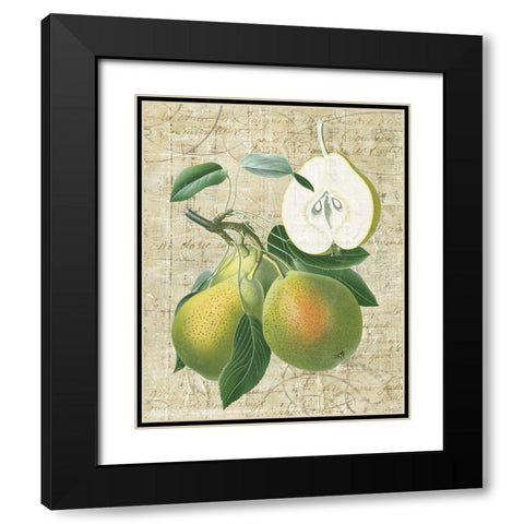 Orchard Medley II Black Modern Wood Framed Art Print with Double Matting by Vision Studio