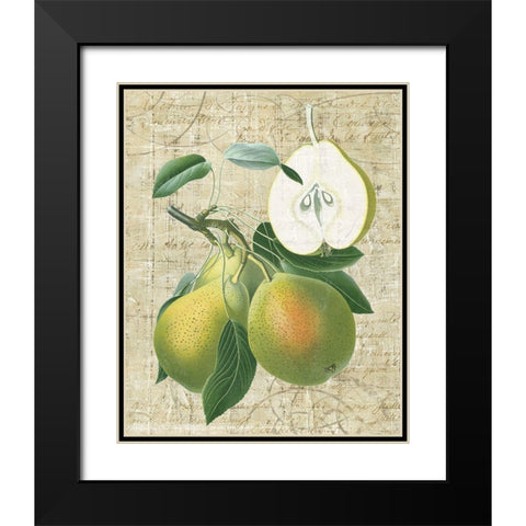 Orchard Medley II Black Modern Wood Framed Art Print with Double Matting by Vision Studio