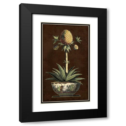 Potted Pineapple I Black Modern Wood Framed Art Print with Double Matting by Vision Studio