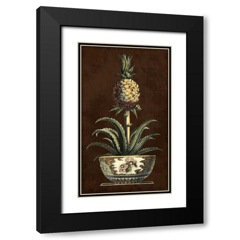 Potted Pineapple II Black Modern Wood Framed Art Print with Double Matting by Vision Studio