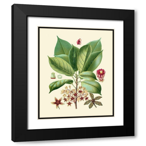 Botanical Glory I Black Modern Wood Framed Art Print with Double Matting by Vision Studio