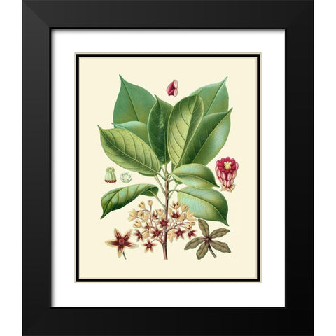 Botanical Glory I Black Modern Wood Framed Art Print with Double Matting by Vision Studio