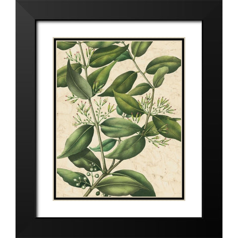 Botanic Beauty III Black Modern Wood Framed Art Print with Double Matting by Vision Studio
