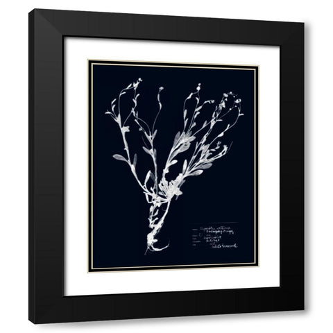 Impressions on Indigo II Black Modern Wood Framed Art Print with Double Matting by Vision Studio