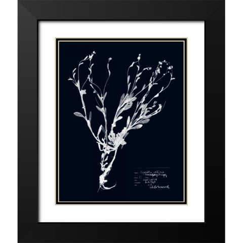 Impressions on Indigo II Black Modern Wood Framed Art Print with Double Matting by Vision Studio