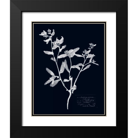 Impressions on Indigo III Black Modern Wood Framed Art Print with Double Matting by Vision Studio