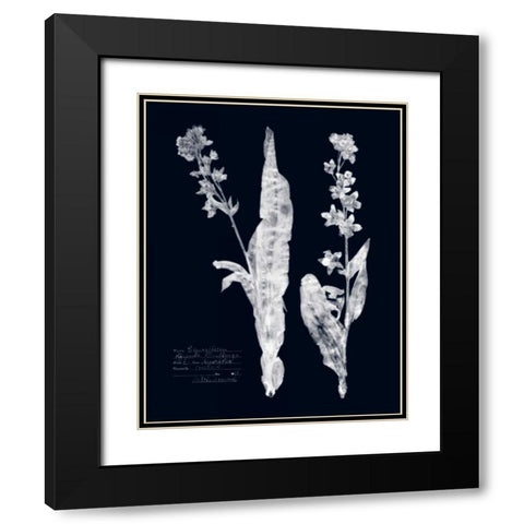 Impressions on Indigo IV Black Modern Wood Framed Art Print with Double Matting by Vision Studio