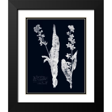 Impressions on Indigo IV Black Modern Wood Framed Art Print with Double Matting by Vision Studio
