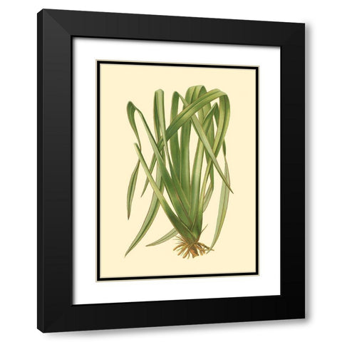 Custom Terra Collection III (KB) Black Modern Wood Framed Art Print with Double Matting by Vision Studio