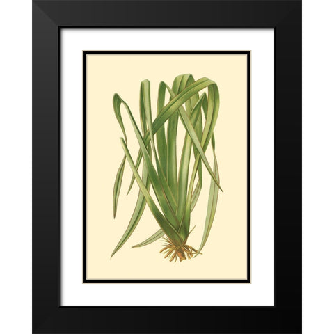 Custom Terra Collection III (KB) Black Modern Wood Framed Art Print with Double Matting by Vision Studio