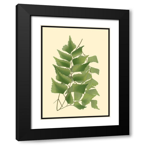 Custom Terra Collection IV (KB) Black Modern Wood Framed Art Print with Double Matting by Vision Studio